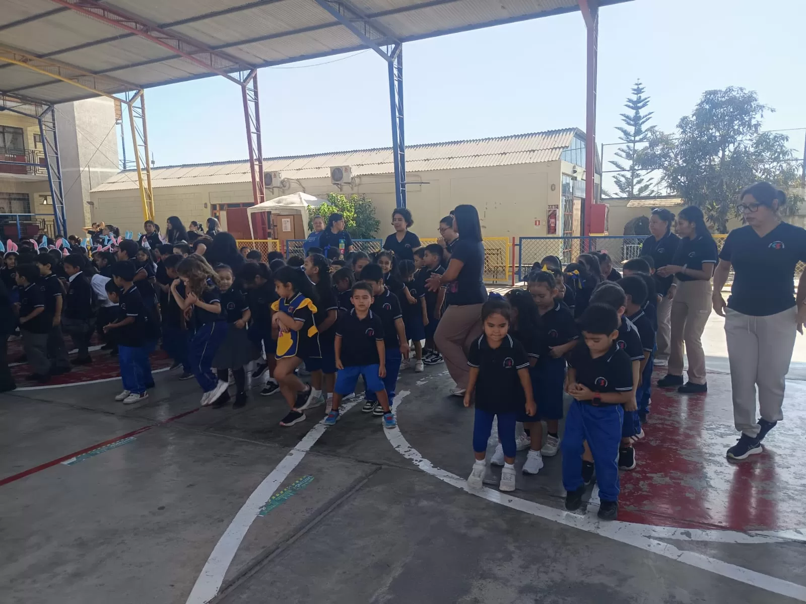 Imagen de la noticia