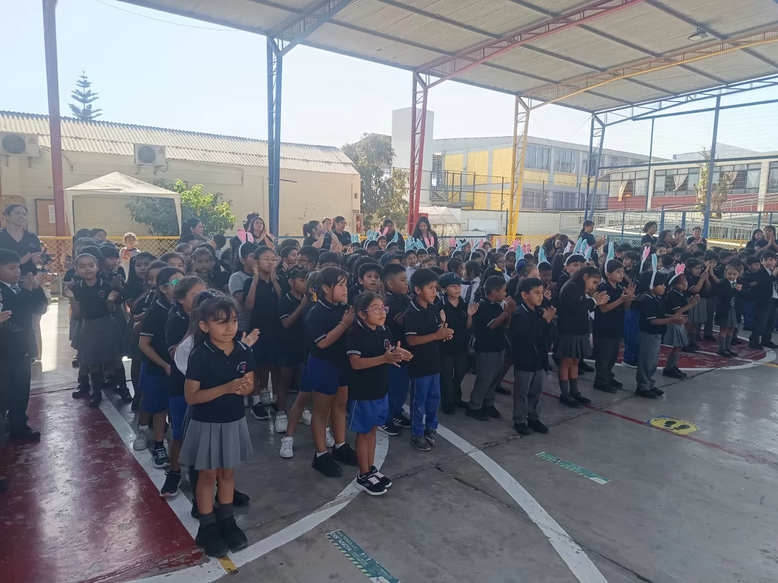 Imagen de la noticia