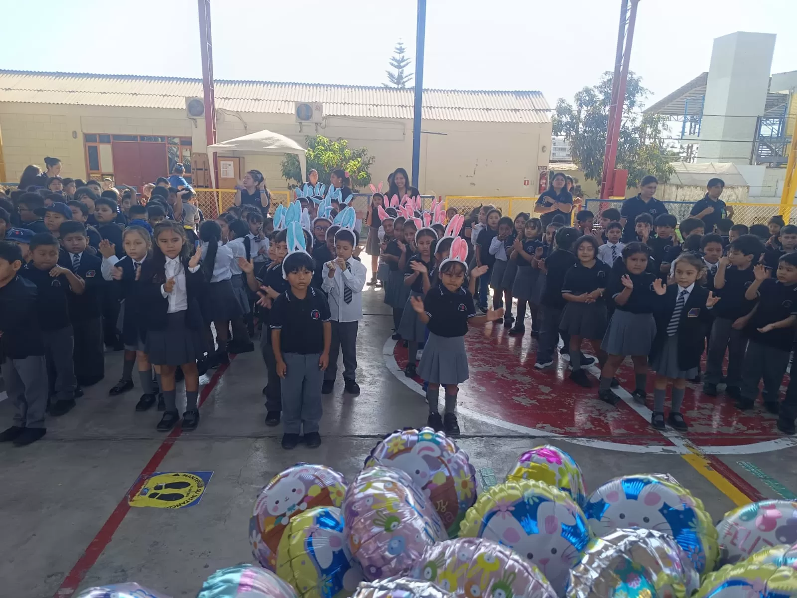 Imagen de la noticia