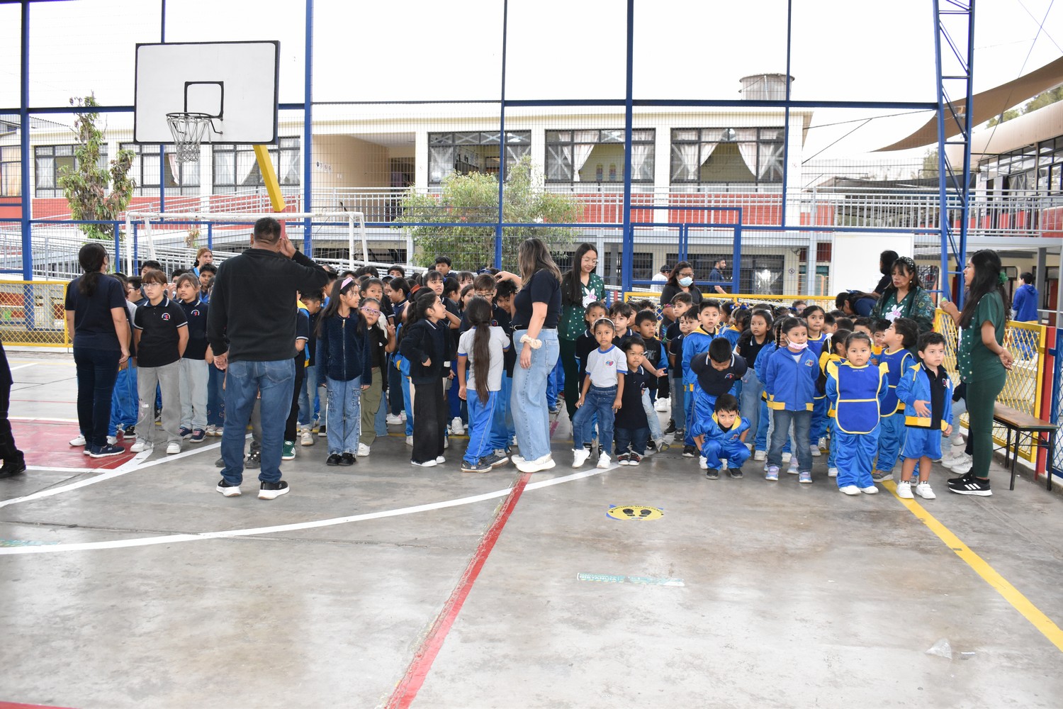 Imagen de la noticia