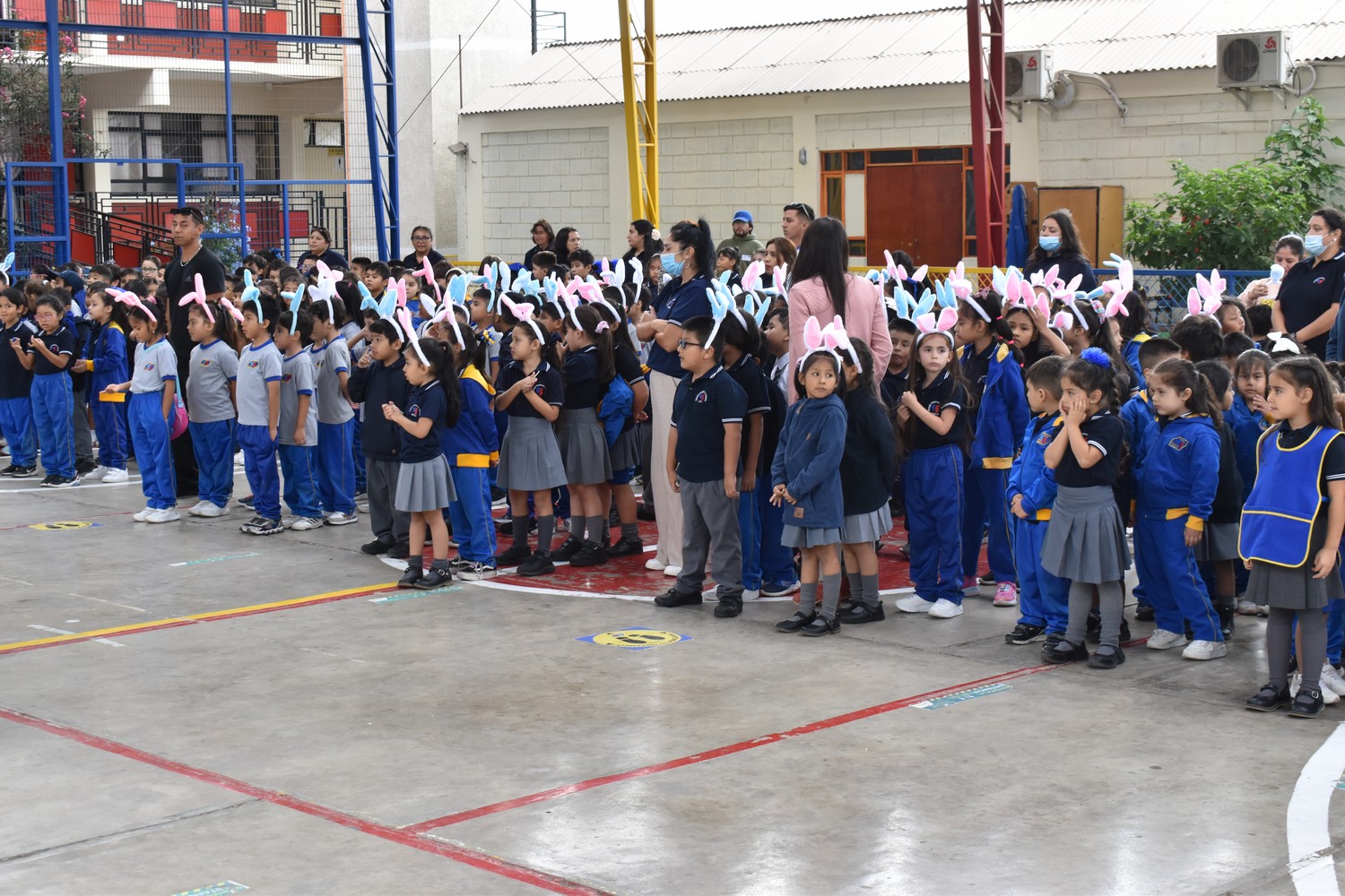 Imagen de la noticia