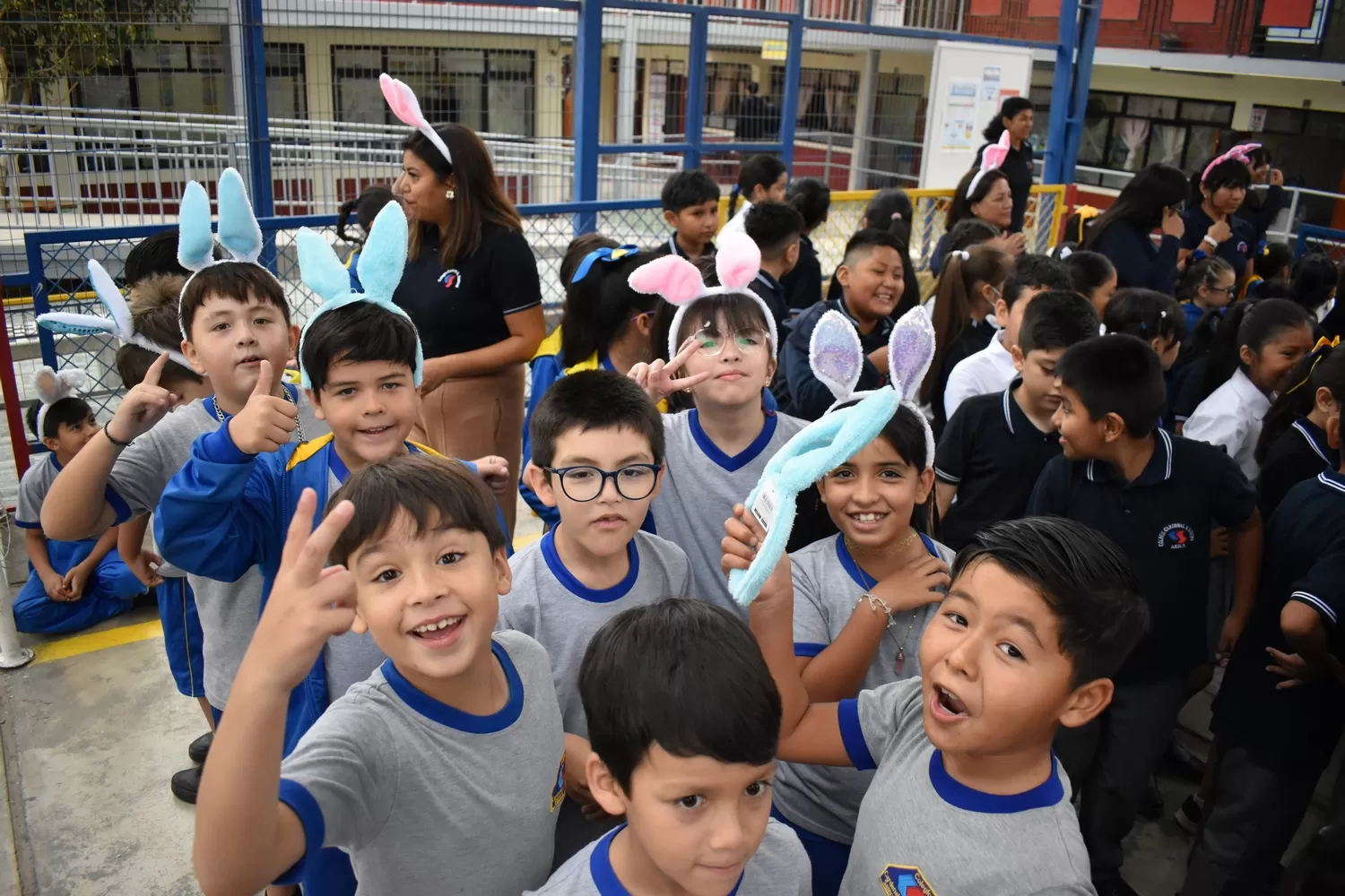 Imagen de la noticia