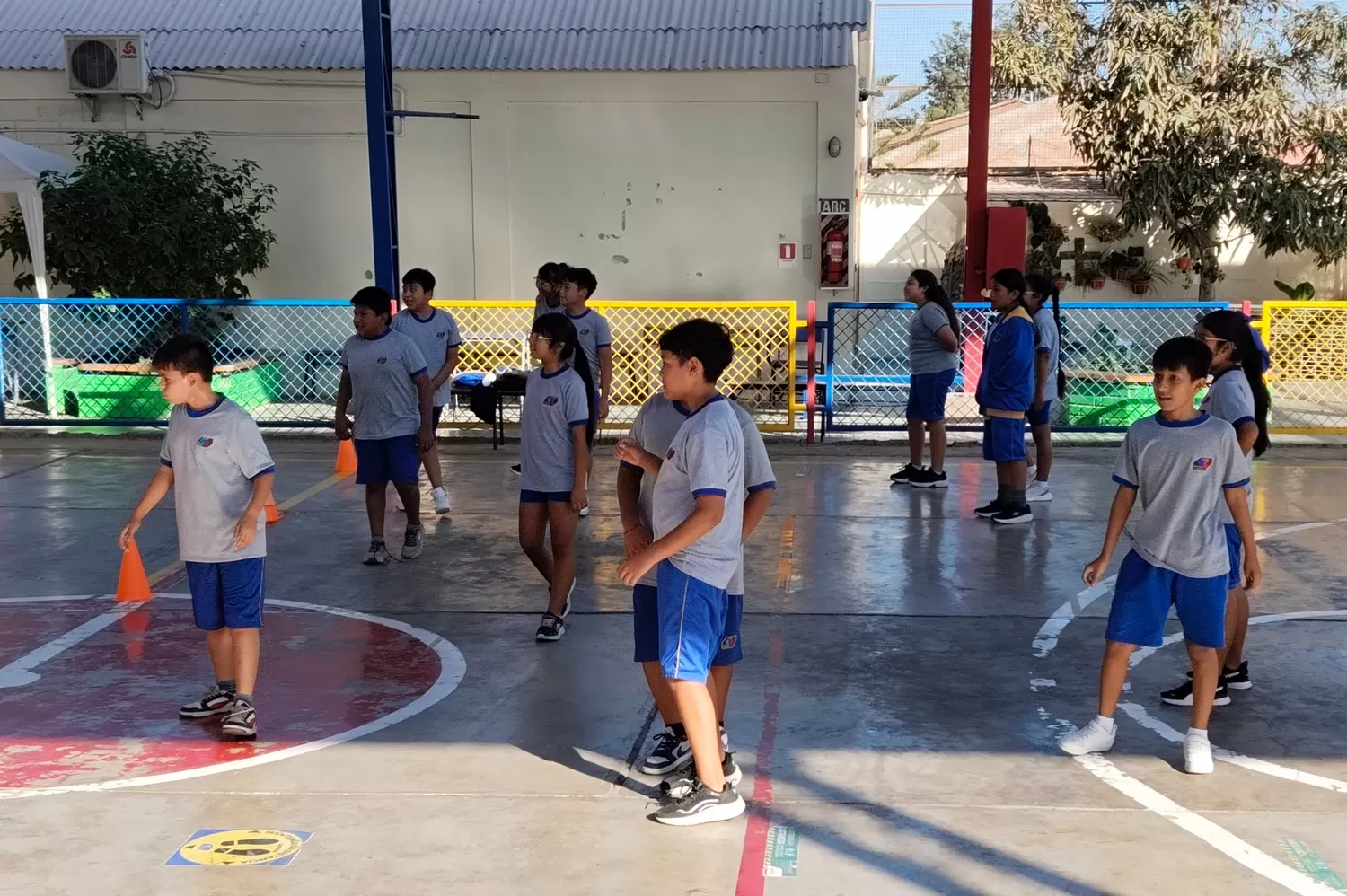 Imagen de la noticia